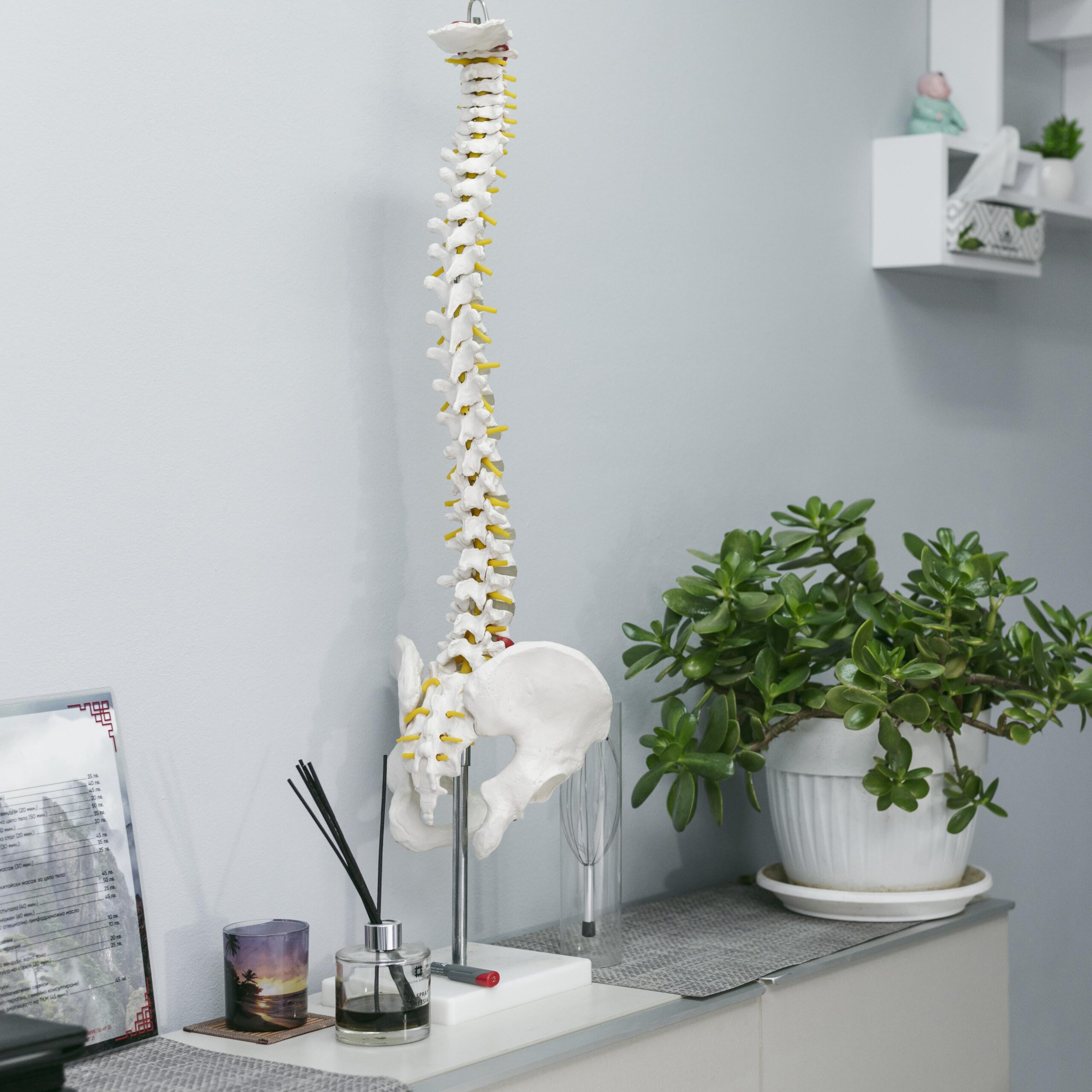 Chiropractor for Injuries